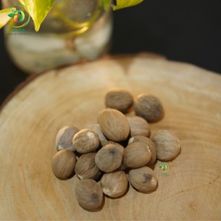 

Biji Pala Kering Utuh Rempah Bumbu Masak 100% Kualitas Premium 30 Gram
