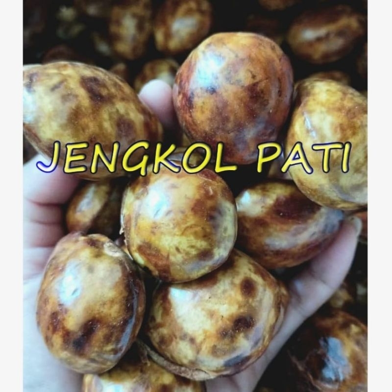 

jengkol mentah besar tua asli pati kualitas jaminan 100% uang kembali