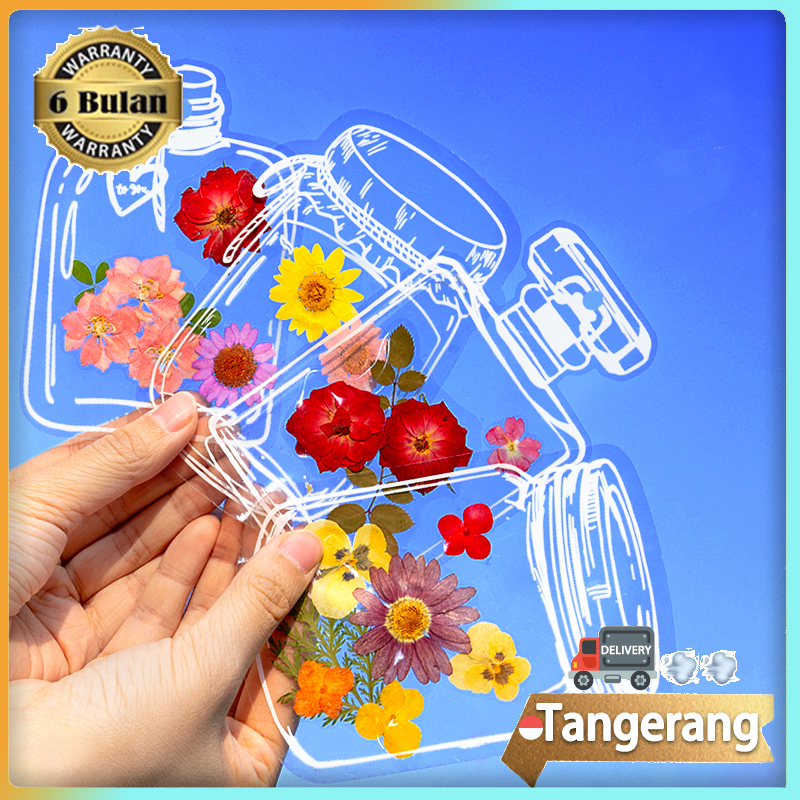 20pcs Deco Sticker DIY Transparan Motif Deco Sticker Laminasi Cute Scrapbook Waterproof