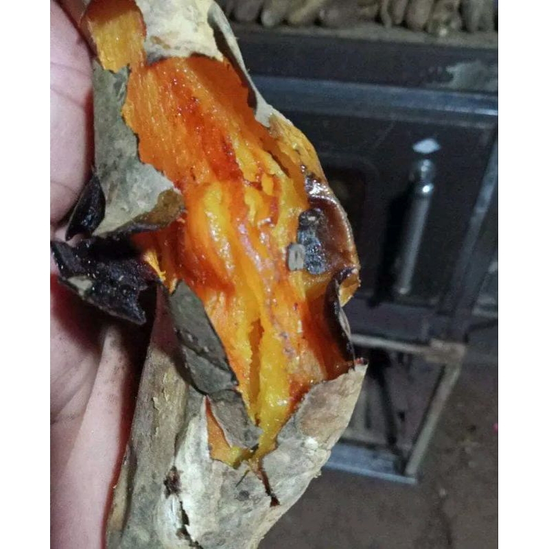 UBI MADU 4 KG UBI OVEN TO UBI WONOGIRI ASLI LEGIT MANIS