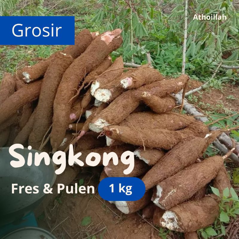 

Singkong Fresh Pulen 1kg