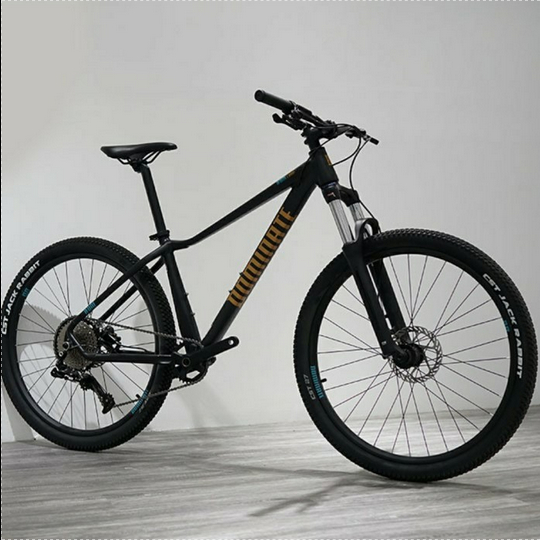 Sepeda MTB 27.5 inch DOMINATE A-One Comp