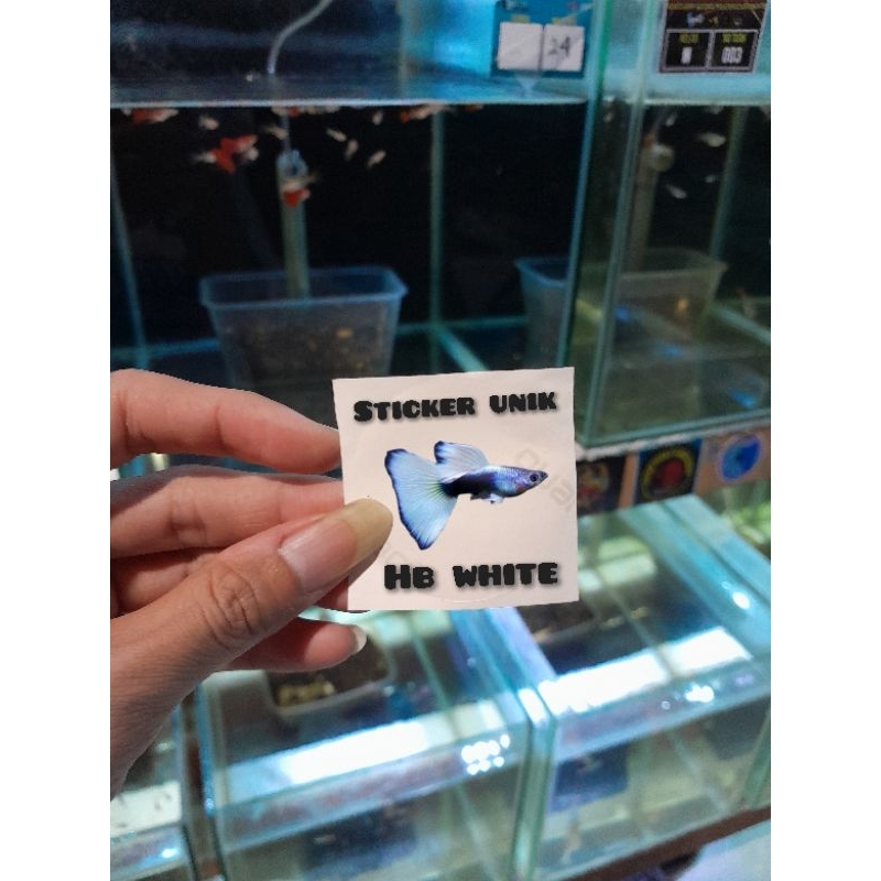 

STICKER UNIK Hb White (1pasang)
