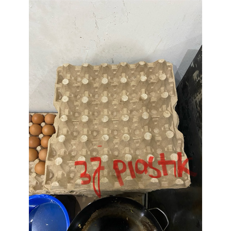 Papan Tray Telur Tatakan Telor Ayam Bahan Karton Bekas Pakai