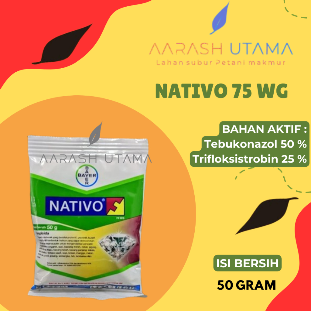 Fungisida+ZPT Nativo 75 WG / tebukonazol 50 % + trifloksistrobin 25 % - 50 GR