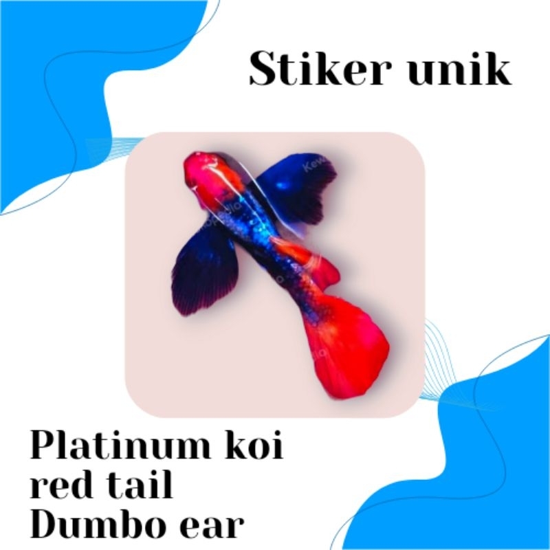 STIKER UNIK PRTDE KOI