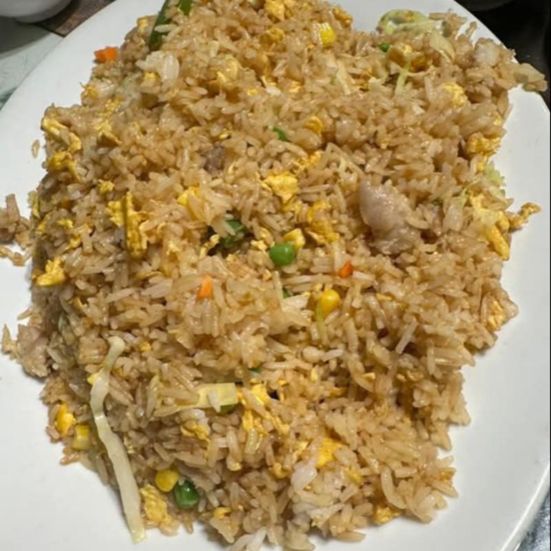 

nasi goreng biasa