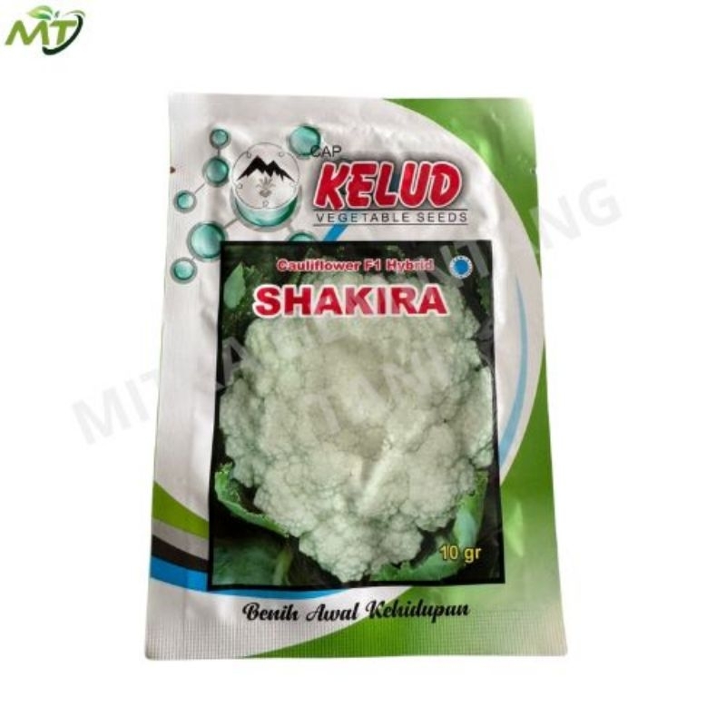 Benih Bunga Kol Shakira F1 10gr Cap Kelud