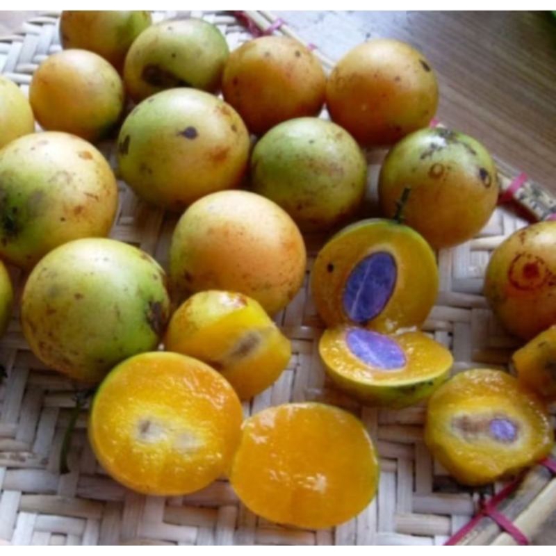 

Buah Gandaria Mateng 1 kg
