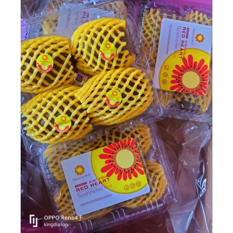 

Buah Kiwi Isi 4