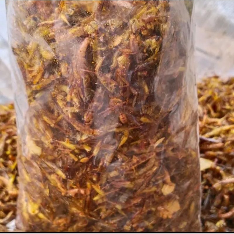 

belalang goreng kemasan plastik 250Gram (sperempat)