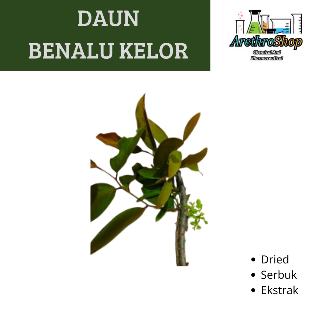 

EKSTRAK DAUN BENALU KELOR 10 GRAM BEST PRODUCT