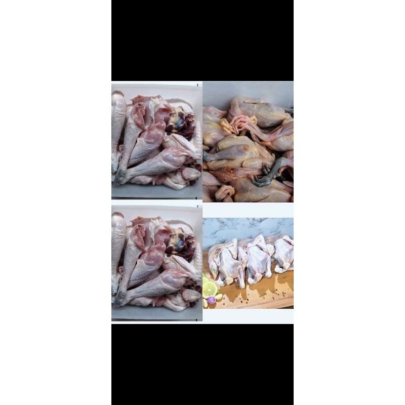 

Ayam kampung fresh