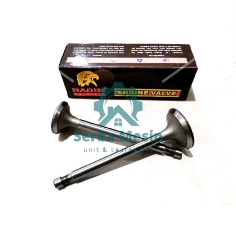 R175 Engine valve klep in /ex diesel dongfeng radin