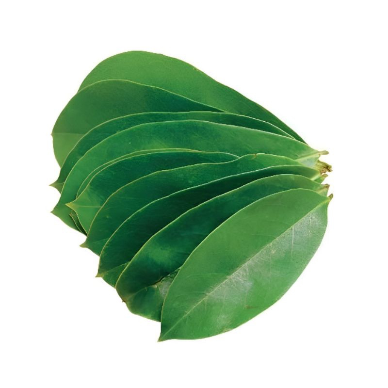 

Daun sirsak segar 100 lembar