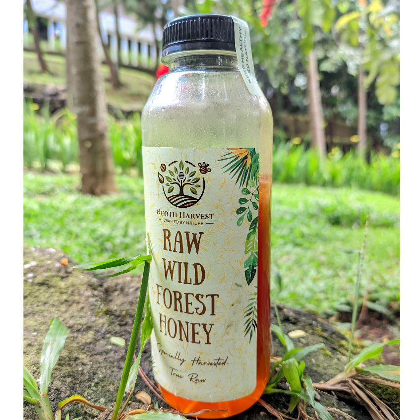 

Madu hutan asli murni mutiflora sialang tanpa campuran 100% apis dorsata sumatra asam lambung
