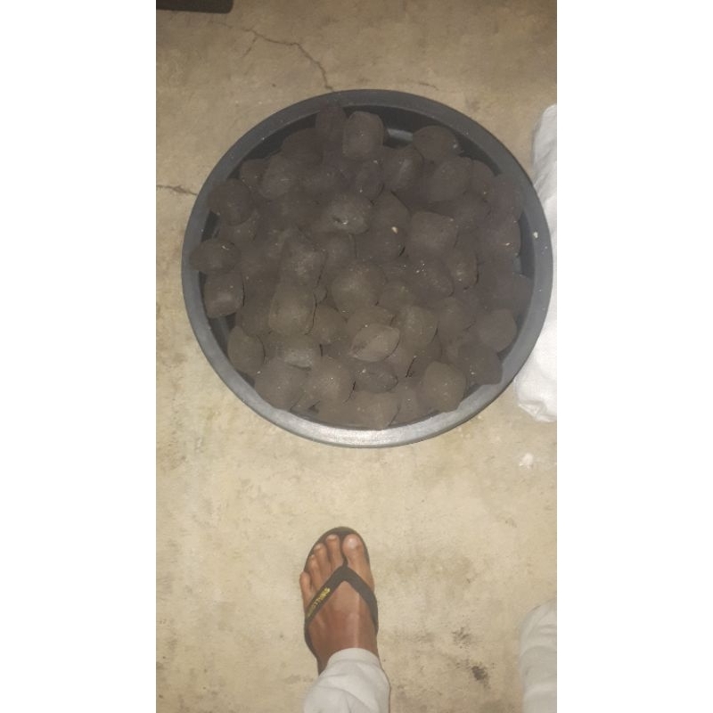 briket arang kelapa,briket batu bara