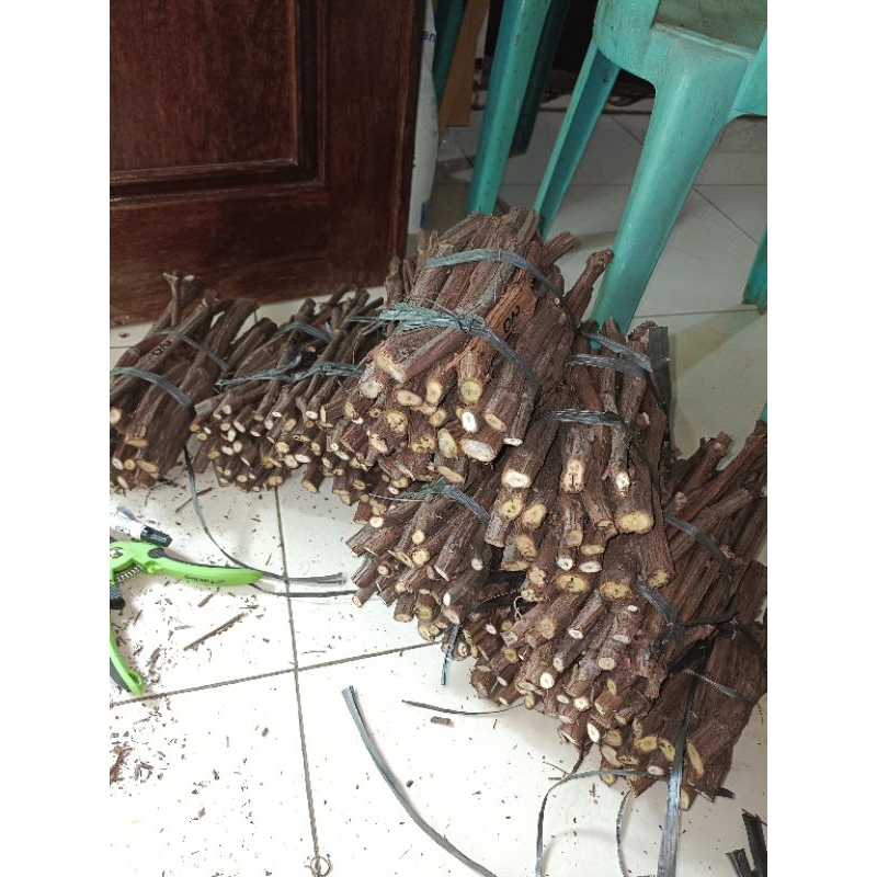 

catting rostok import ramsey, CN, andros dan kober harga per kg