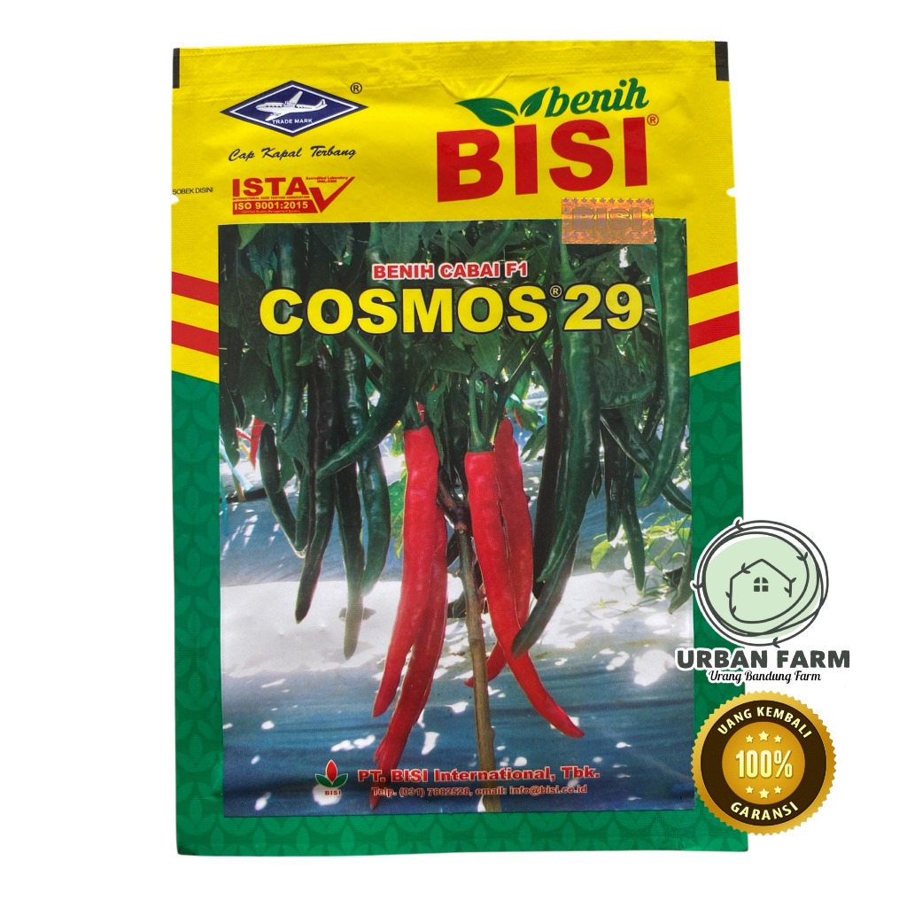 Benih Cabai F1 COSMOS 29 10grm - Benih Cabai Besar Cosmos