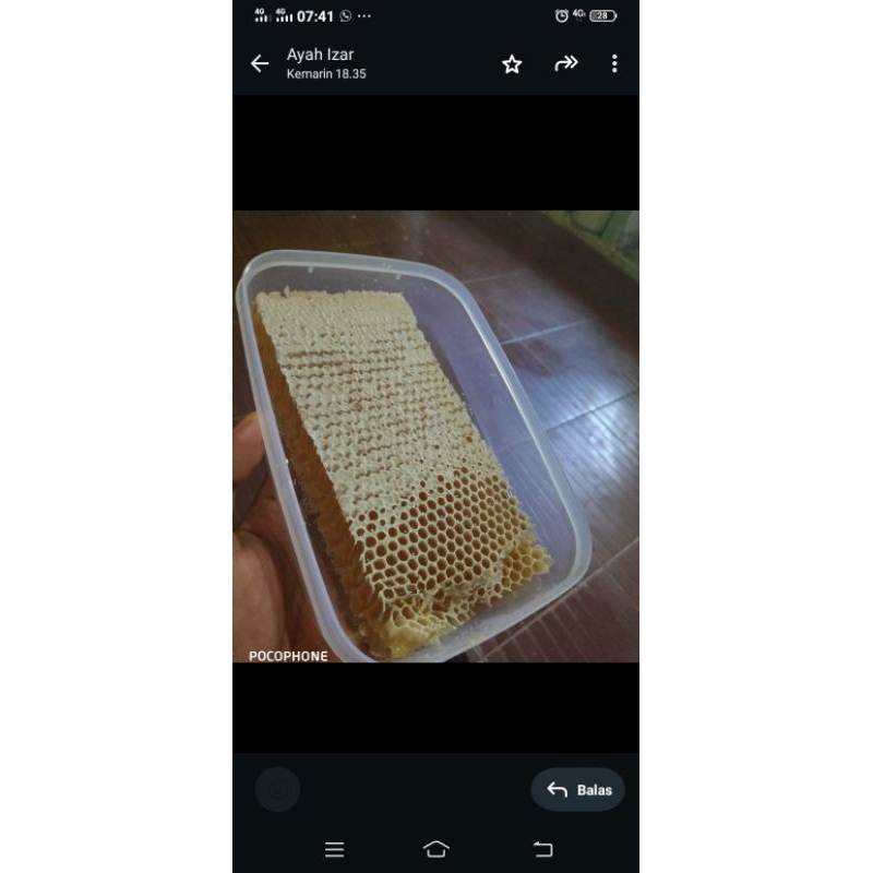 

madu alami asli Madura