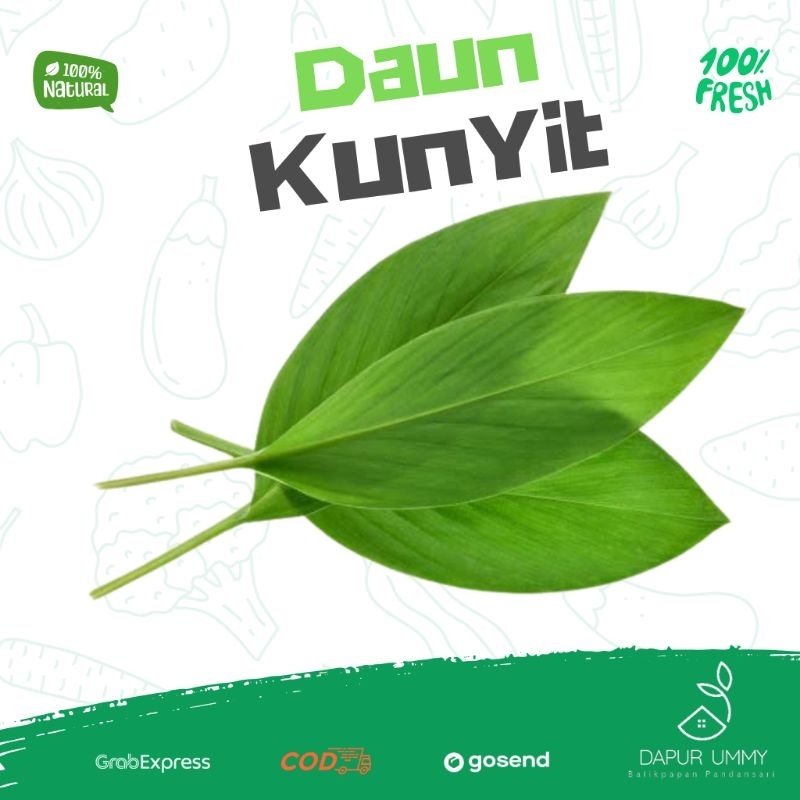

Daun Kunyit