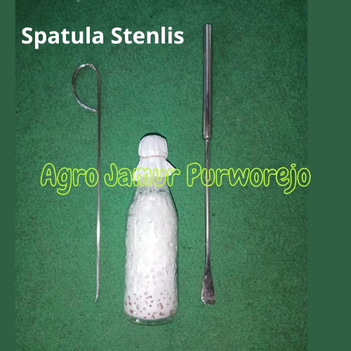 Spatula stenlis || Alat inokulasi Bibit Jamur