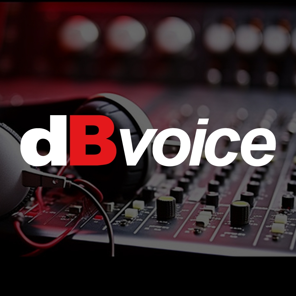 

cutting sticker hardcase audio sound system db voice .stiker flightcase label dBvoice
