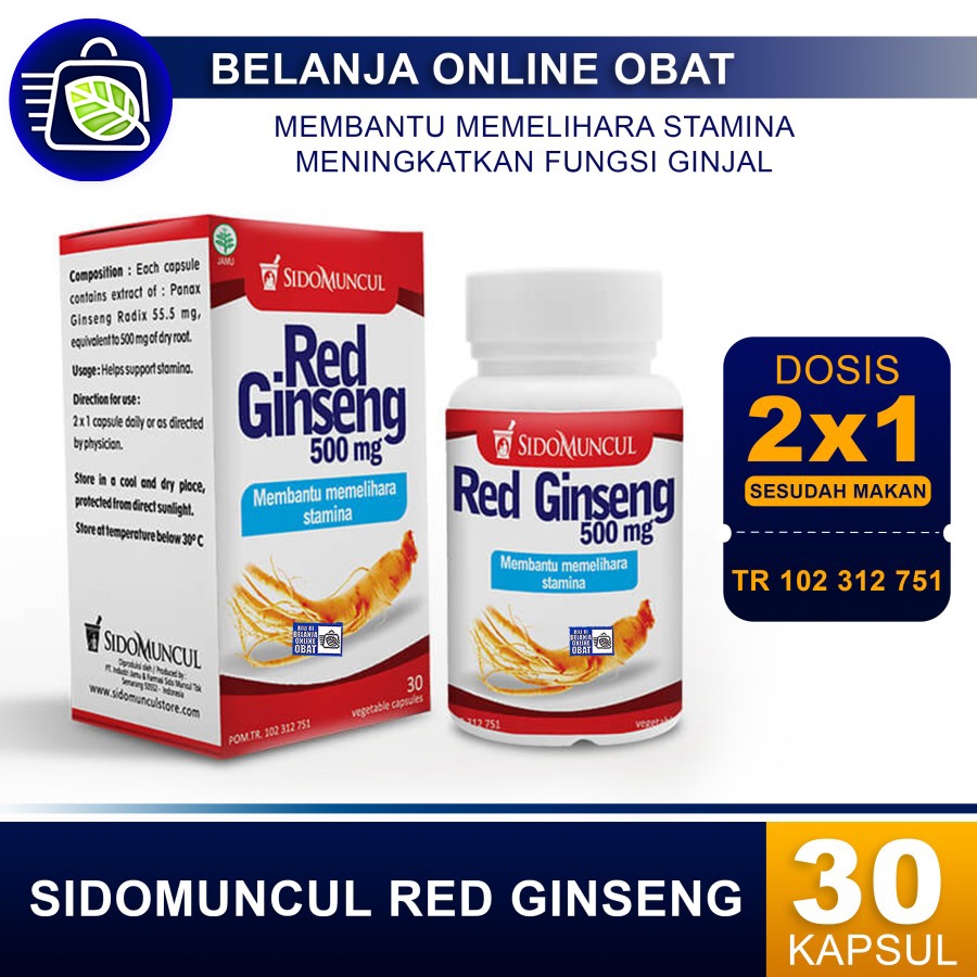 SIDO MUNCUL RED GINSENG // Membantu Meningkatkan Vitalitas Pria
