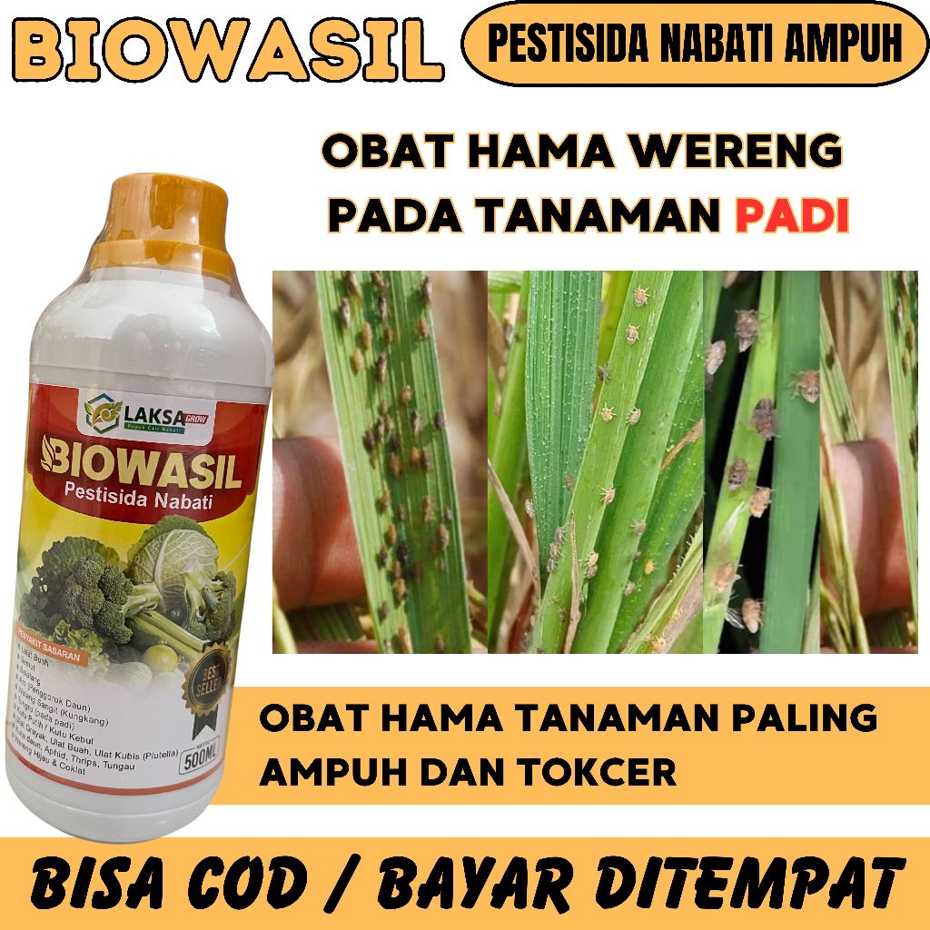 Obat Hama Wereng Padi Paling Ampuh dan Bagus Biowasil 500 Ml Pembasmi hama Wereng Padi