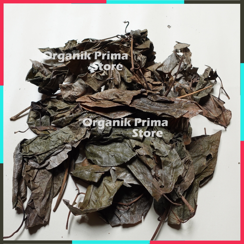 

Daun Sirih Hijau Kering 100gr - Organik Grade A