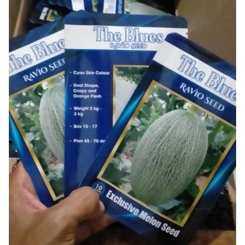 Benih Melon The Blues sweethami 10gr