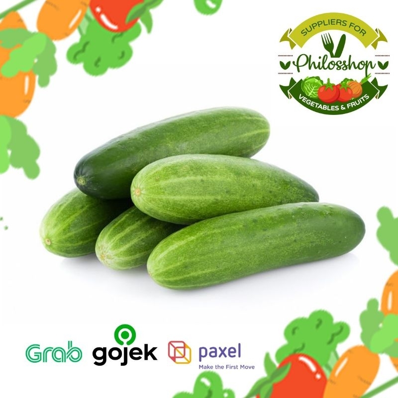 

Timun / Sayur Timun / Timun Segar / Timun 1KG