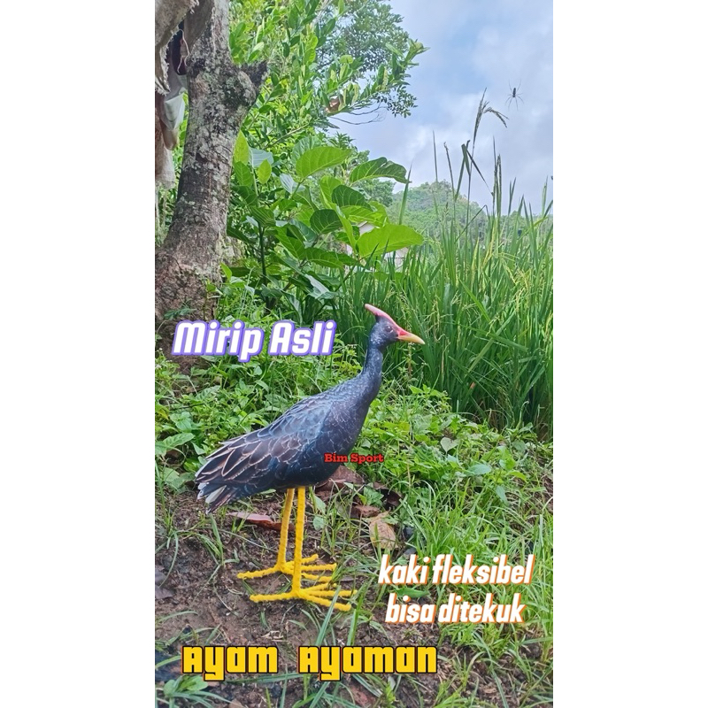 Patung Burung Ayam Ayaman / Burung Ayam ayam