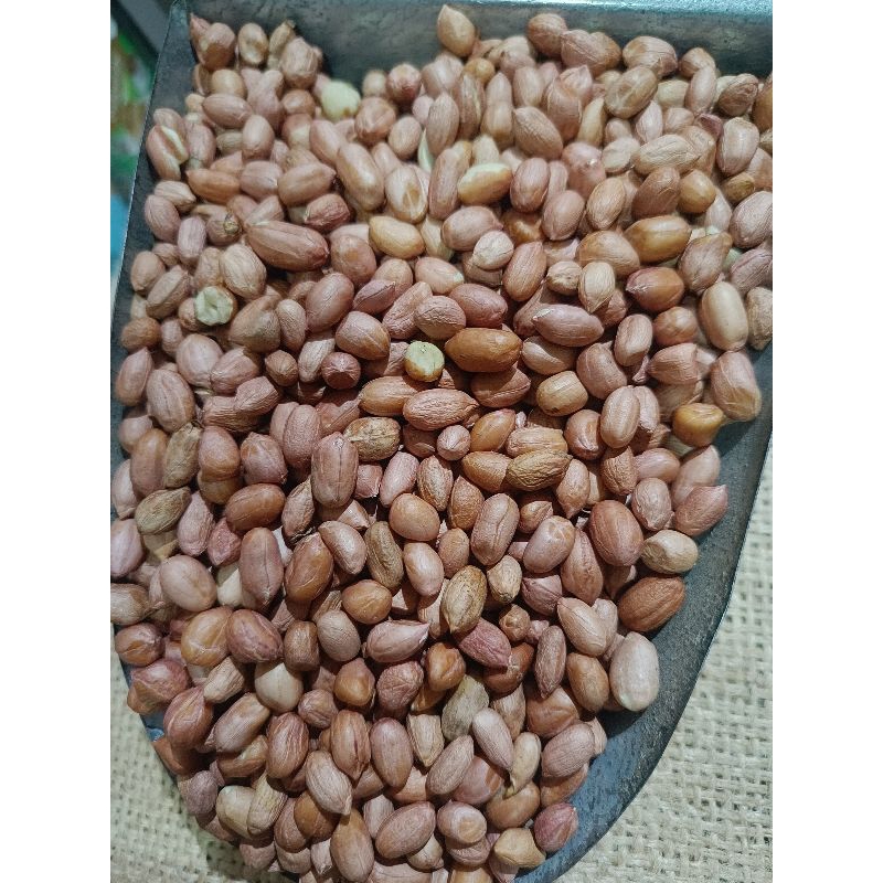 

KACANG TANAH INDIA 1KG REPACK | KACANG SUUK MENTAH