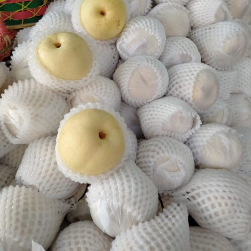 

Buah Pir Yalie/Pear Yalie Fresh 1 Kg