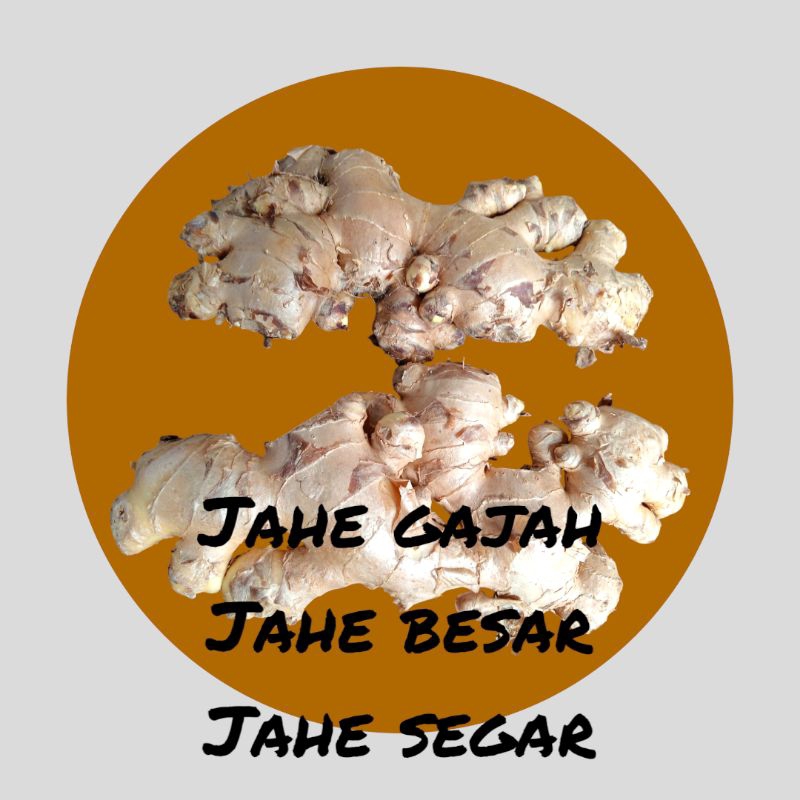 

1 kg jahe gajah