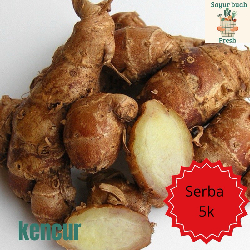 

kencur bumbu rempah masakan serba5rbu