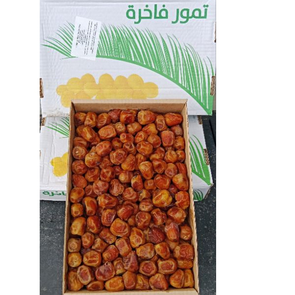 

Kurma sukari al-Qasim 3kg++