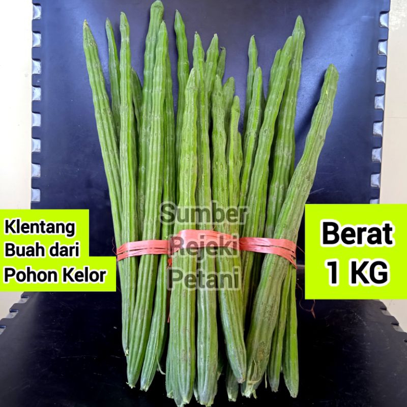 

Klentang 1KG Buah Kelor Drumstick Moringa Oleifera untuk sayur asem