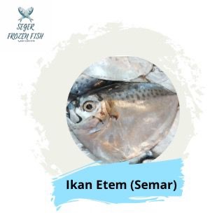 

Ikan Etem/Semar Frozen Size 7-8 1Kg