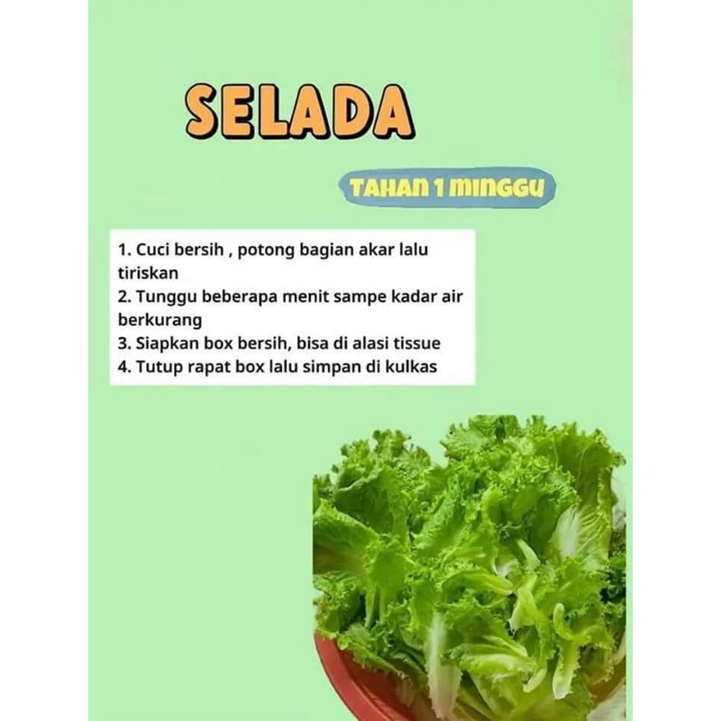 

Sayur daun segar