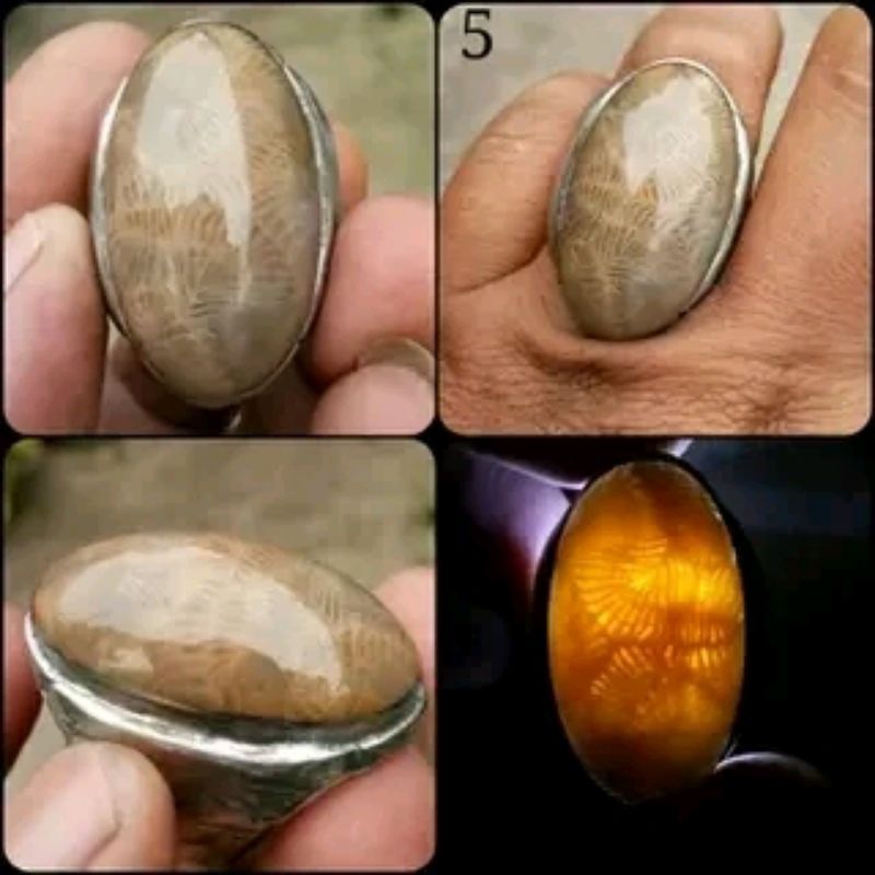 Natural Akik Kelabang  - Teratai Lipan - Jumbo - Fossilized Polip Coral - NTD