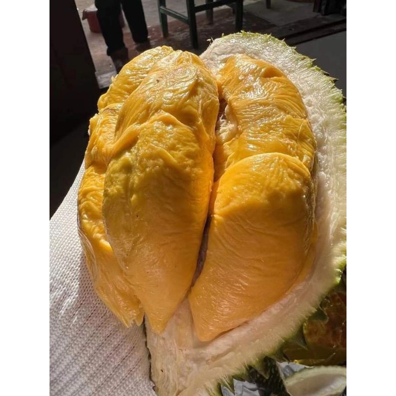

Promo murah Durian Kupas Montong Premium Lokal