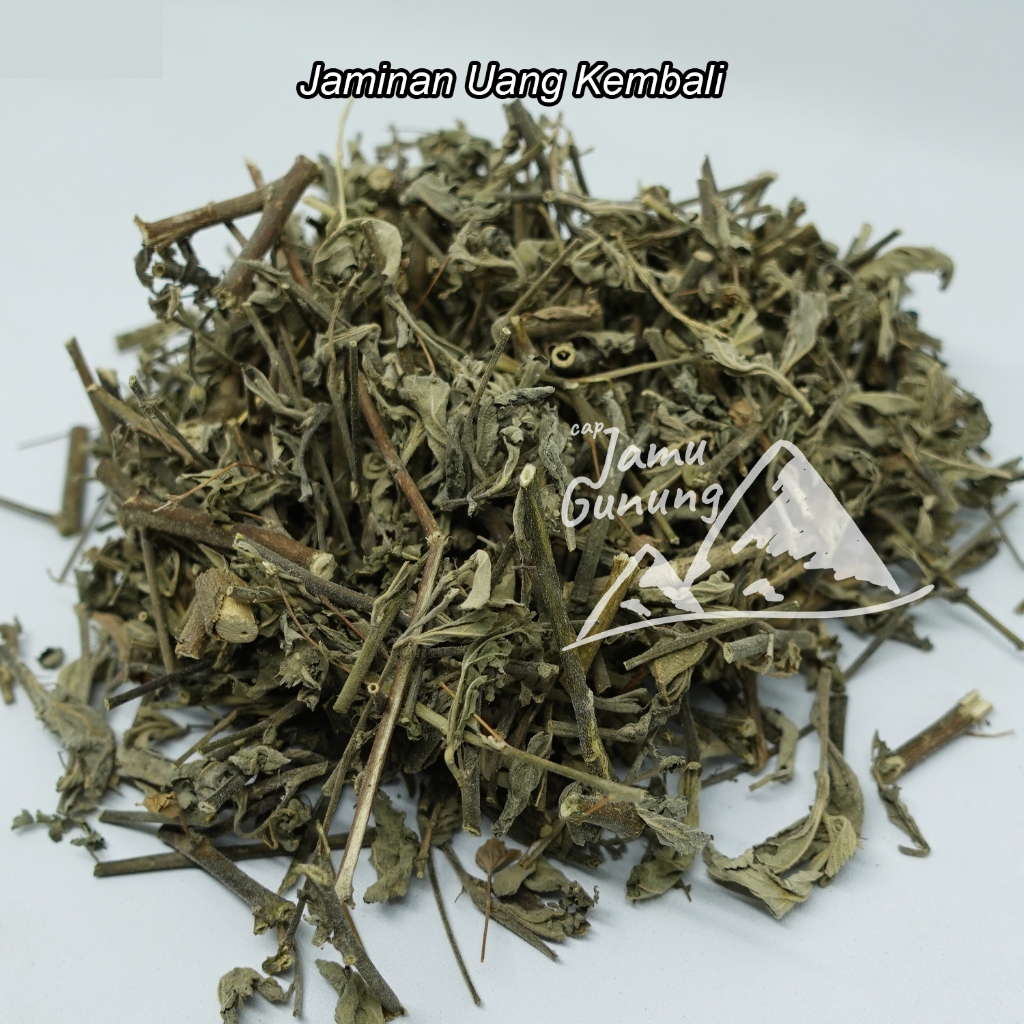 

Daun Sidaguri Kering 500gr Bersih dan Asli