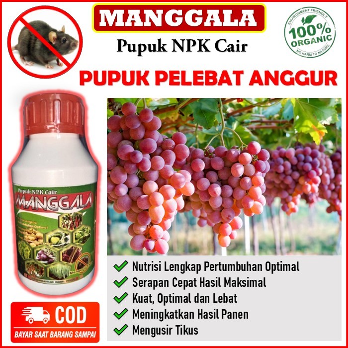 pupuk perbanyak buah anggur - obat pelebat tanaman anggur terbaik - PUPUK NPK CAIR MANGGALA Nutrisi 