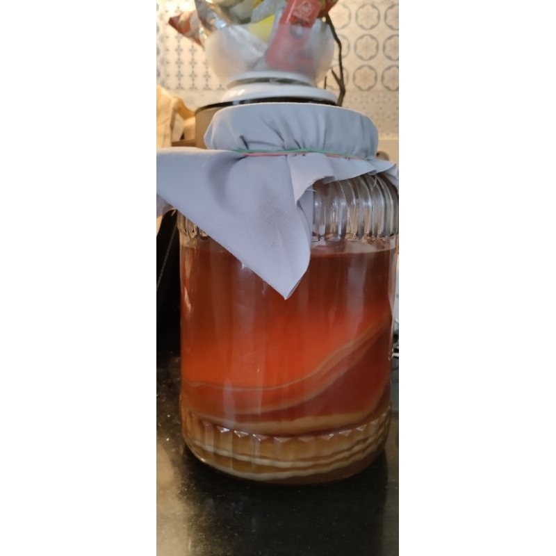 

Starter Kombucha paket awal untuk membuat fragmentasi jamur teh