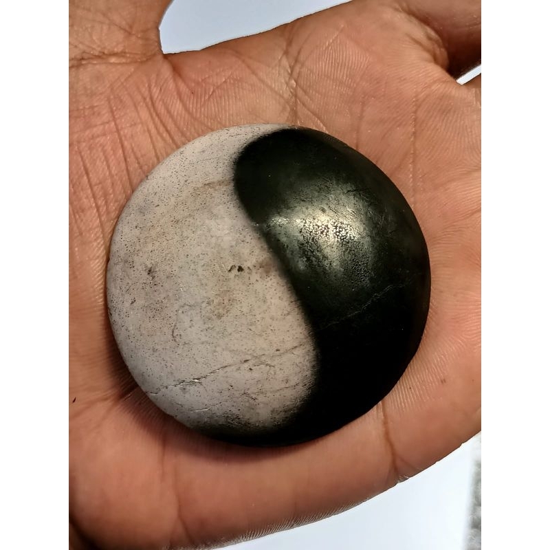 Batu Posil Galih Kelor Yin Yang , Big Size