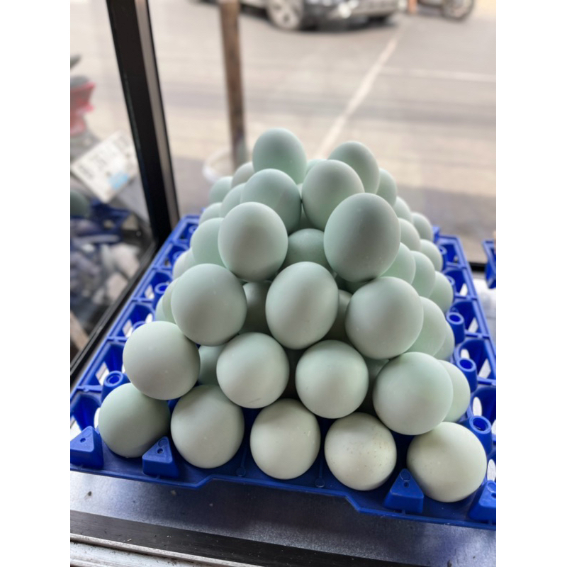 

Telor Asin Rebus 100% Masir