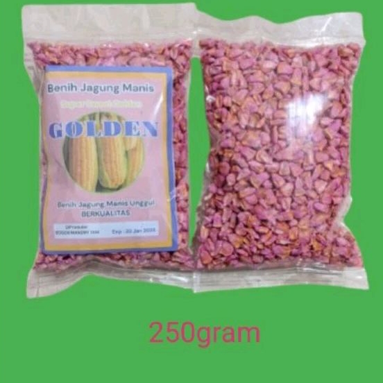 

Binih jagung manis unggul golden 250gram