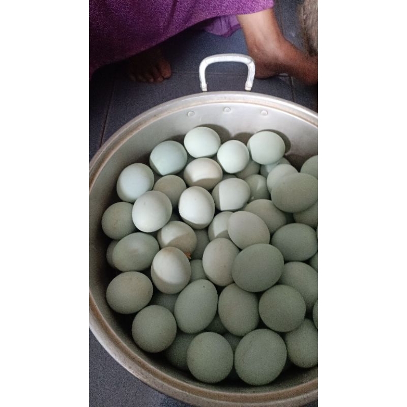 

telor asin premium